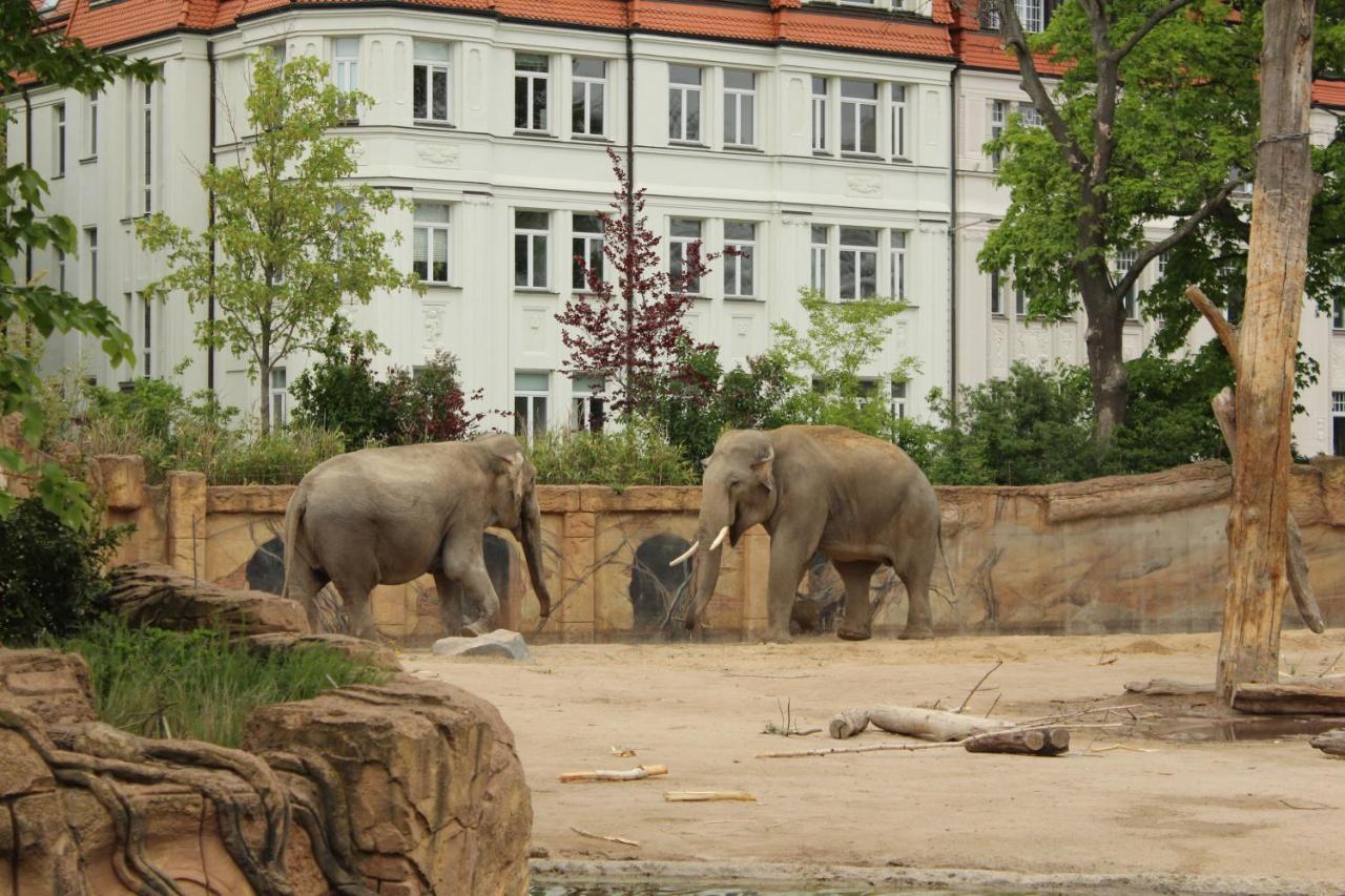 Grosse Wohnung Im Neu-Seen-Land Leipzig มาร์คเคลแบร์ก ภายนอก รูปภาพ